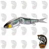Swimbait Shimano Bantam ARMAJOINT 190SF FB 190 mm 53 g DRM Madrid