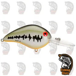 BBO-Baby Bass Orange Belly Bomber Model A  Tienda DRM Madrid