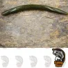 Vinilo pesca Wacky Bass Multistick 5 Olive Pepper destructorbaits DRM