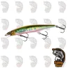 002 S Oikawa Señuelo pesca Shimano Bantam Zumverno 95SP FB tienda DRM