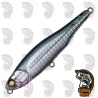Live Wire 87 Travieso Whiplash Factory LS05TGD | Señuelo Paseante TOP