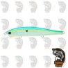 Minnow Duel Hardcore Flat 110mm Floating CSH | Web DRM Fishing