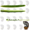 Vinilo AGR Baits Still Worm 5" Watermelon Pearl | DRM Fishing Store