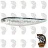 Paseante Lucky Craft Sammy 100 Aurora Black
