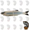 Hispano Lures Drifter 177 Flotante Color Iceman 2oz